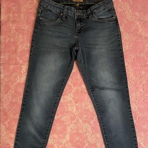 SF Blue Jeans, Size 5, Skinny